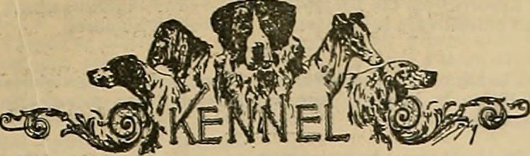 Image from page 28 of Breeder and sportsman (1882