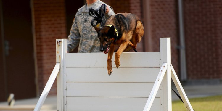 Military Police Working Dog demonstration for Humphreys Elementary School First Grade students Oct. 7...