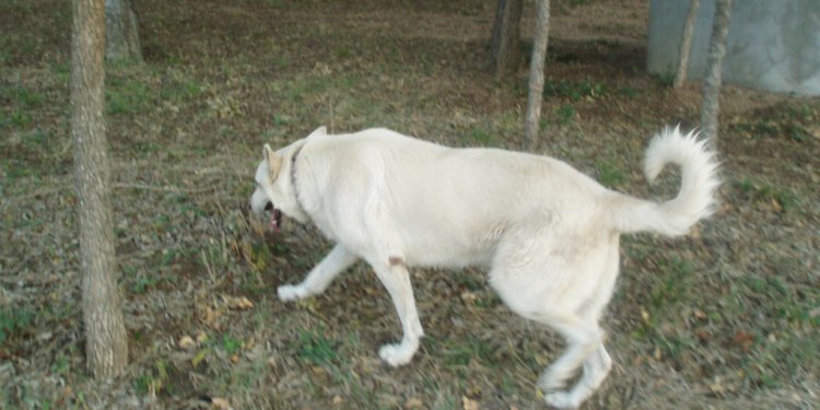 Powder PA062039