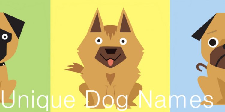 Unique Dog Names