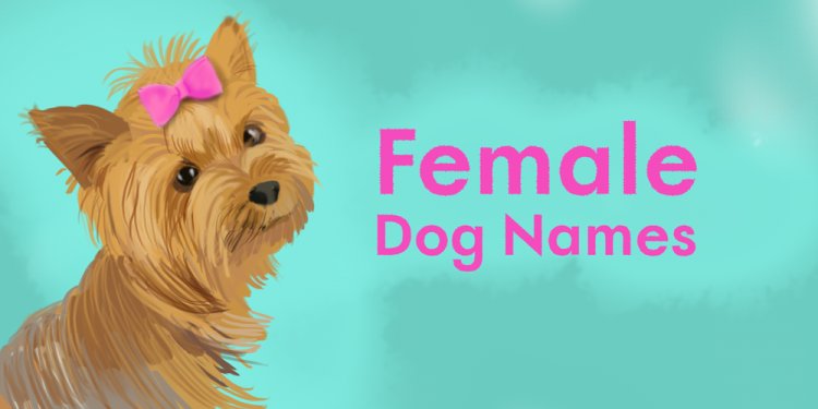 Unique Girl Dog Names That