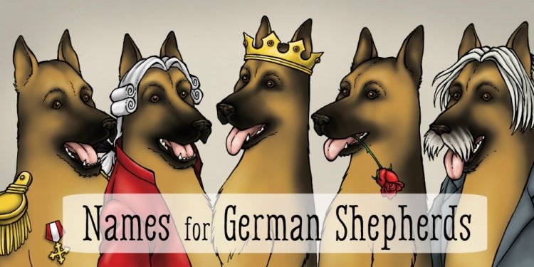 German Shepherds guard Dog