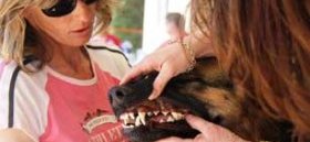 Checking dentition (Photo courtesy DCH)