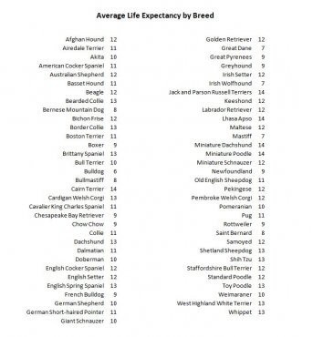 dog breed life expectancy, dog ages, how long do dogs live, dog lifespan