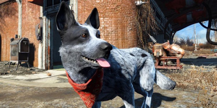 German Shepherd color variations