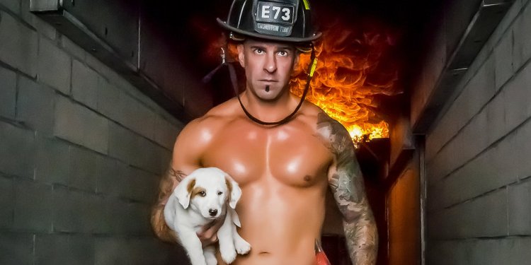 Puppy or Rescue dogs