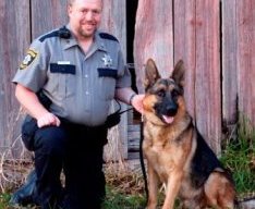 german-shepherd-with-police-guard-dog