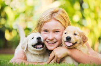 Girl with Large Breed Puppies