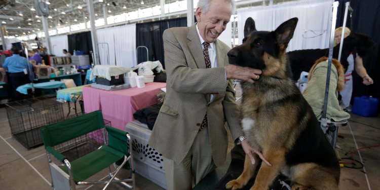 Other name for German Shepherd
