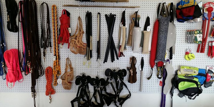 German Shepherd Dog Trainers