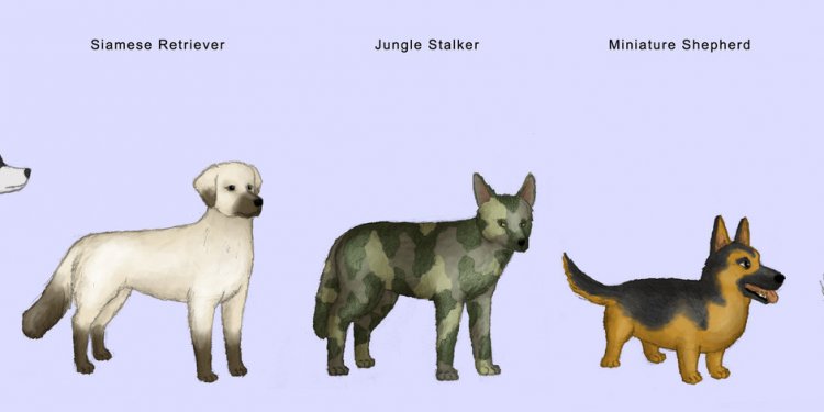 Dog breed societies