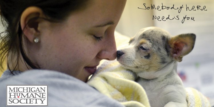 Puppy Rescue MI