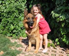 Gsd-Kids