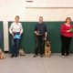 Alsatian Dog training