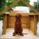 German Shepherd Dog House plans
