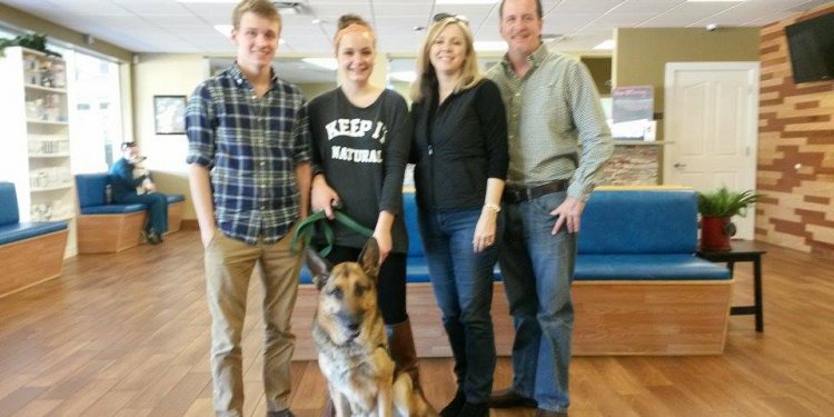 Trained German Shepherd dogs