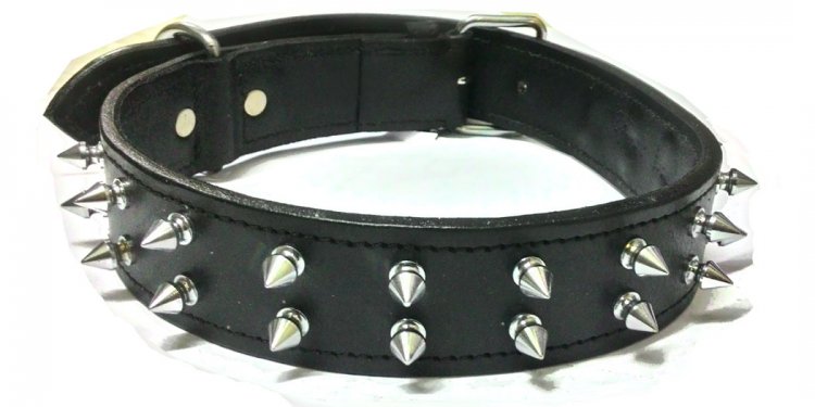 German Shepherd Dog clothes