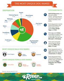 Rover unique dog names infographic