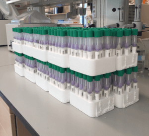 The first 500 saliva samples on their way to be analyzed.
