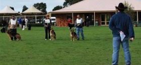 The gun test (photo courtesy GSDCV/B Stone)