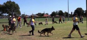 The movement assessment