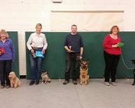 Alsatian Dog training