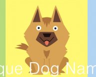 Dog names German Shepherd