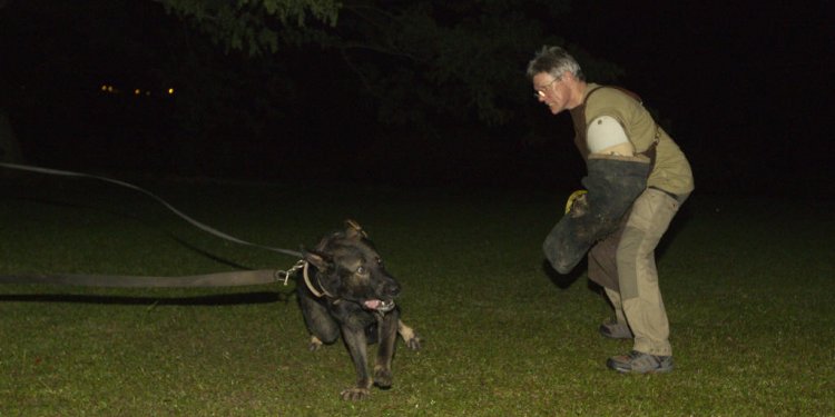 German Shepherd Dog Club