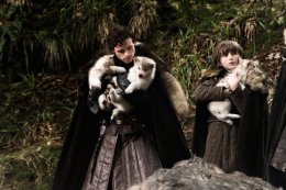 Robb, Bran and their wolves